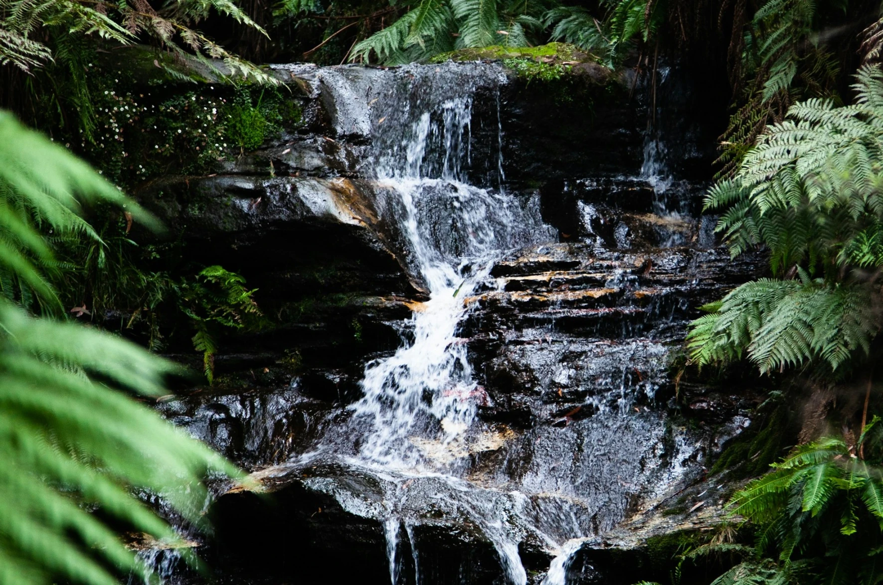The Flow of Giving